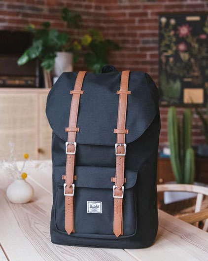 Large Backpacks