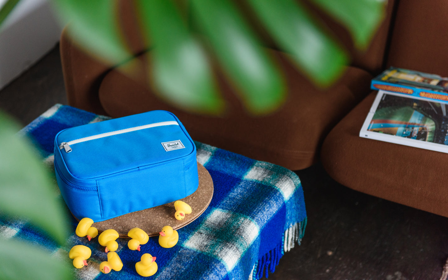 Pop Quiz Lunch Box Little Herschel