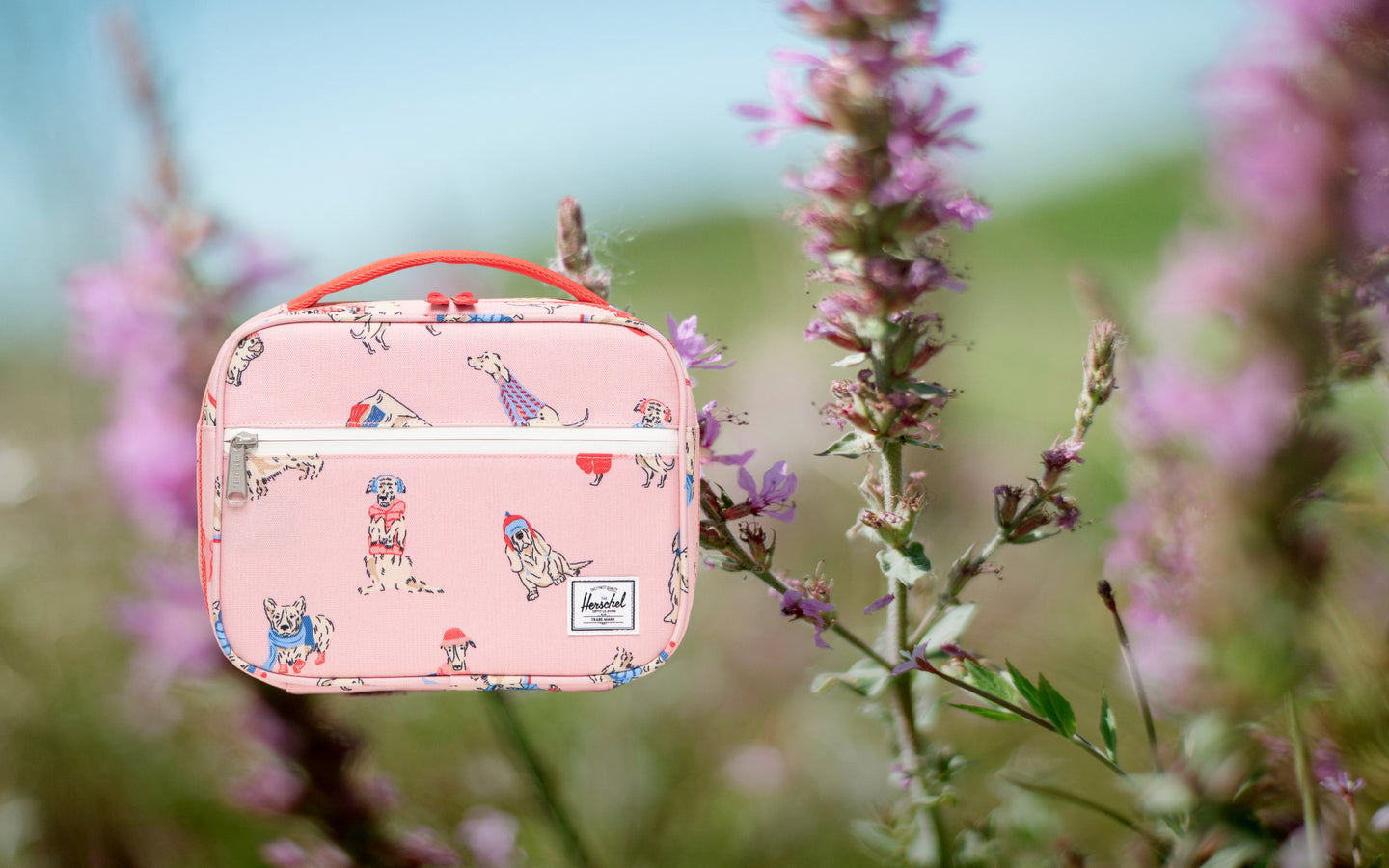 Herschel Supply Co. Pop Quiz Lunch Box Little Herschel in Fashion Dogs print, showing the desktop hero image view.
