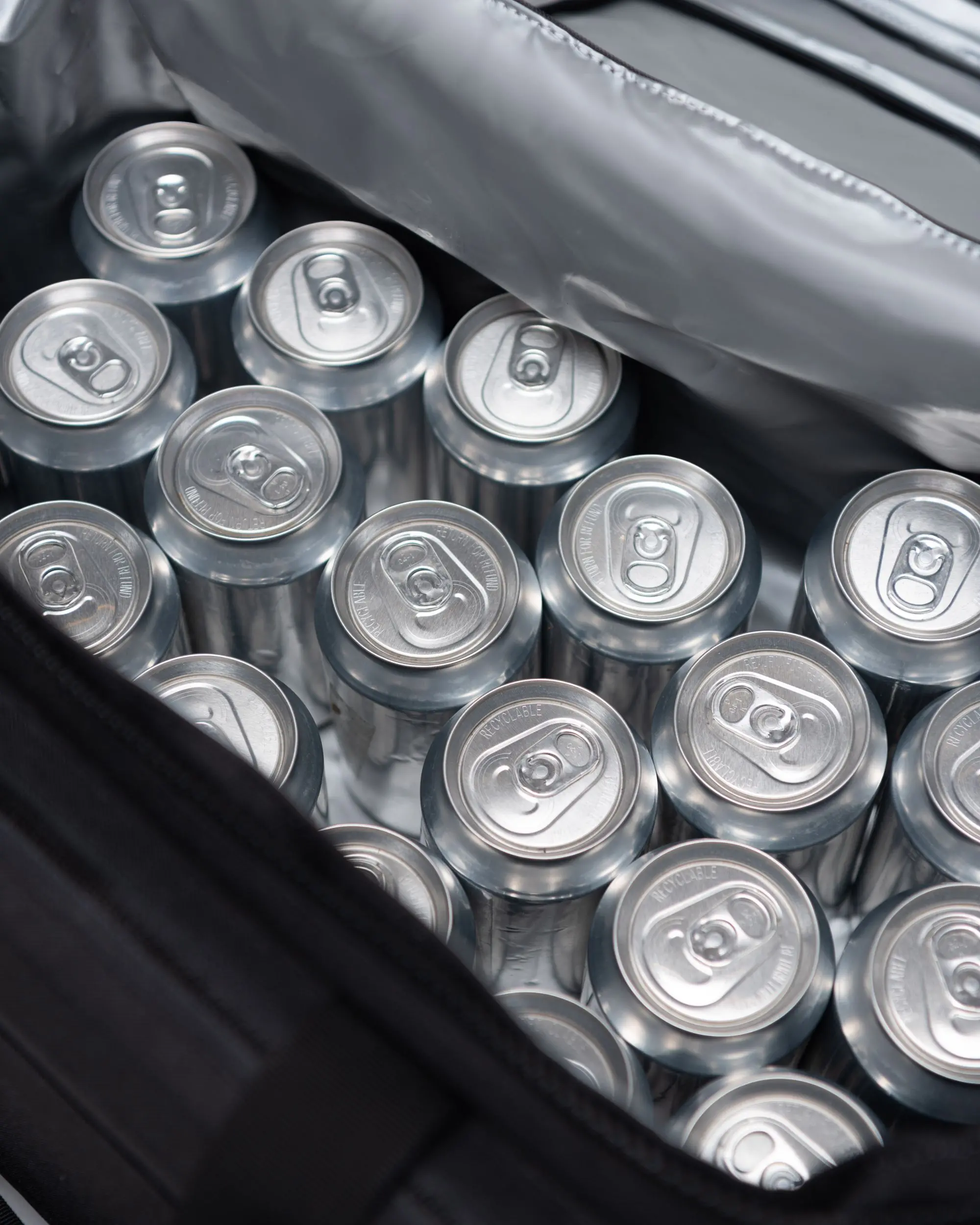 Pop Quiz 30 Pack Cooler | Insulated