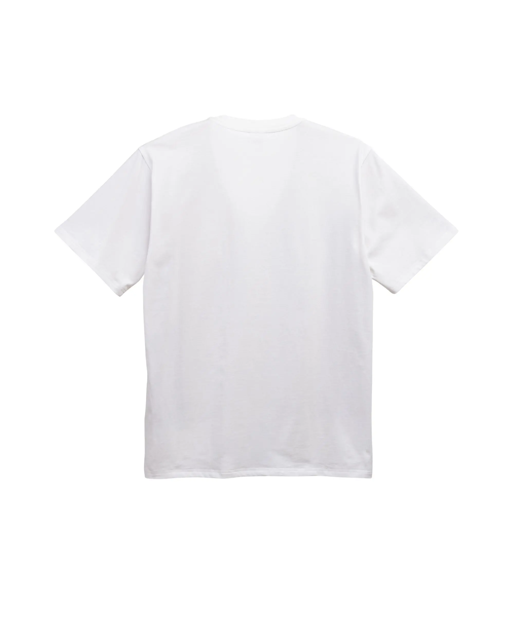 Banff Tourist Tee | Men's
